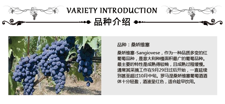 十三世纪1231_02.jpg