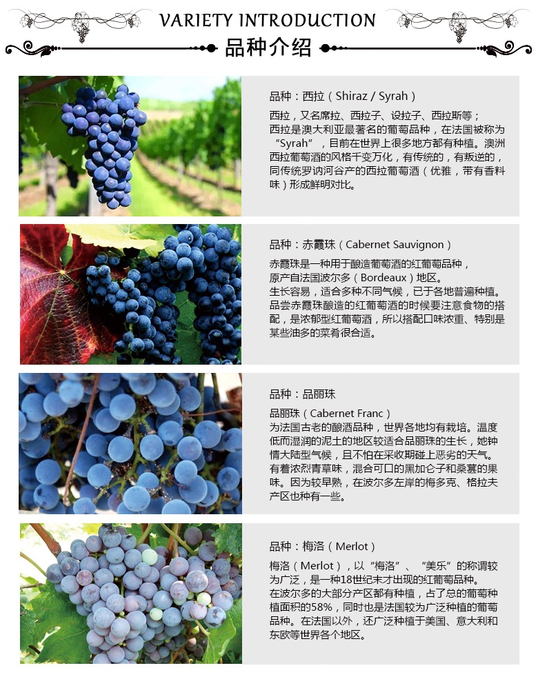 十三世纪红钻_02.jpg